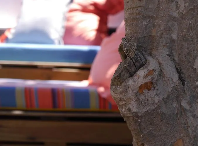 Ostello & Surfcamp 55