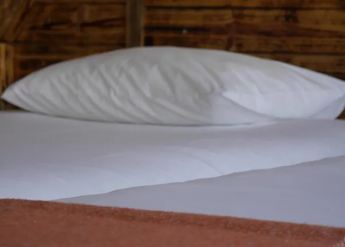 Ostello & Surfcamp 55 *